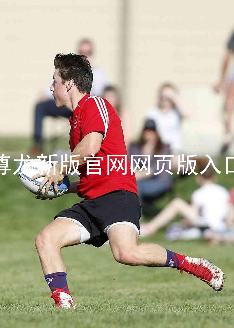 尊龙新版官网网页版入口